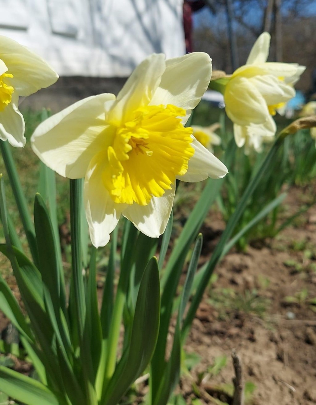 4/1/2024 – Easter is a perfect reminder that God’s will is stronger than any human&nbsp;plot…