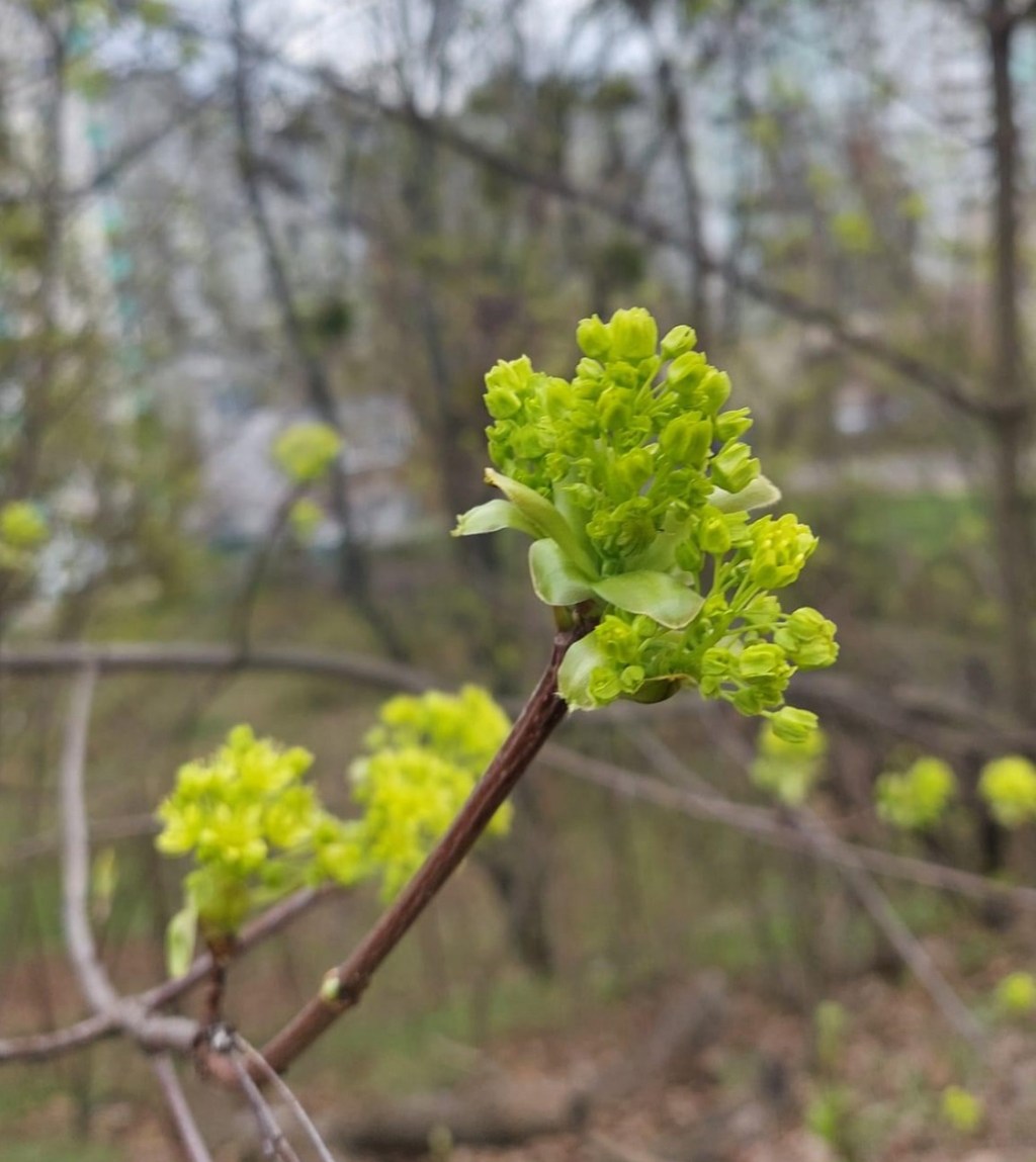 4/4/2024 – “If God is almighty, can’t He just stop this war? And if He can, why doesn’t he?”