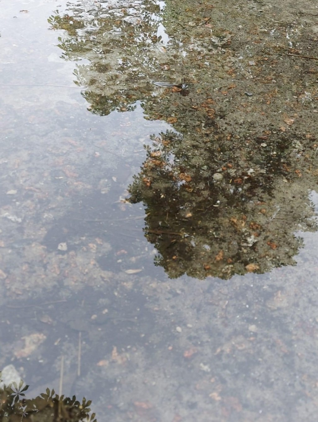 4/27/2024 – I keep thinking about the children who need to shelter now, who won’t spend the night in their beds, who will be terrified because of the explosions, who might not see a morning…