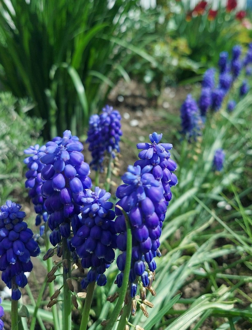 4/29/2024 – These past two years have been a time of&nbsp;learning…