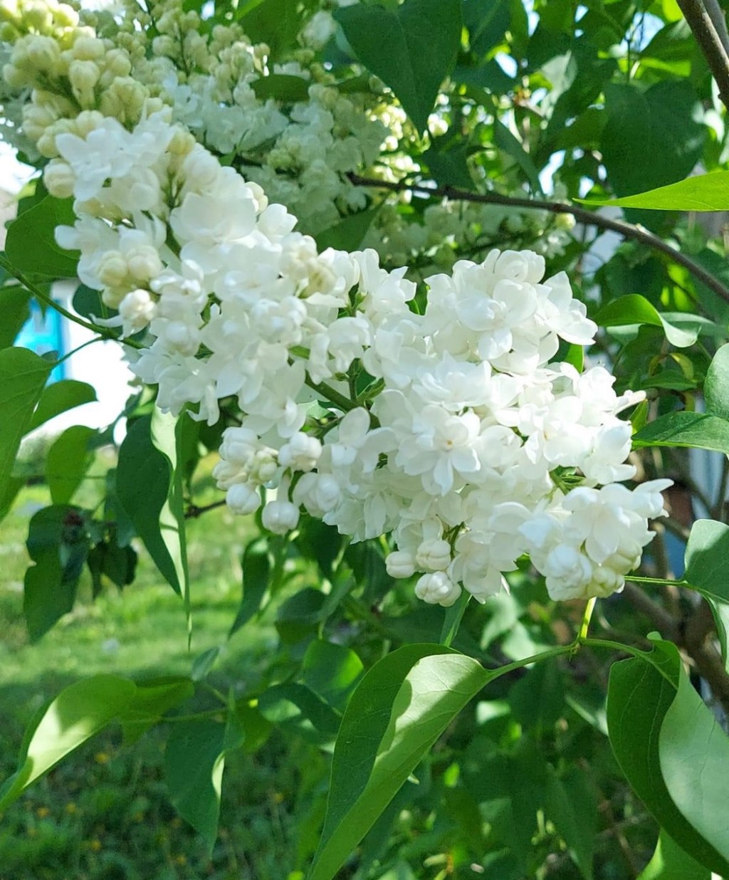 5/3/2024 – “The war is just a bike ride away. Let’s not forget how close it is!”