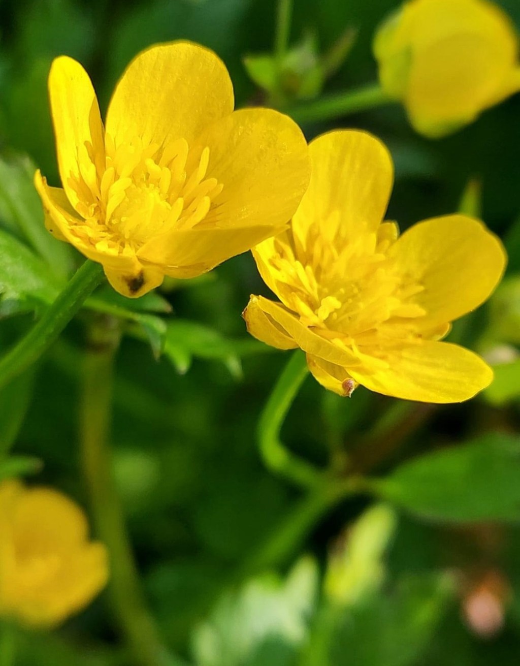 5/7/2024 – How I wish I could stop the time and just be silent before&nbsp;God…