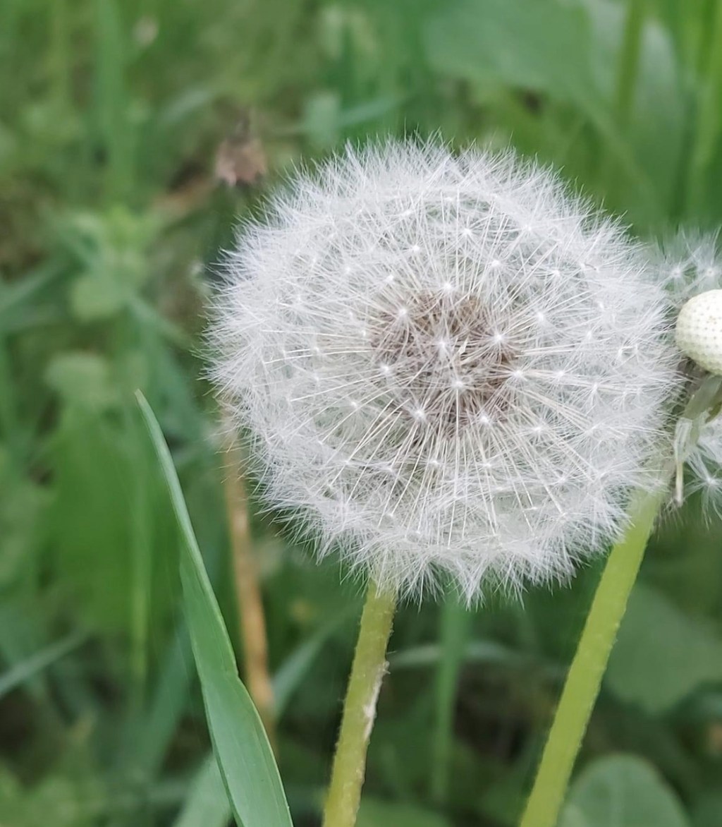 5/8/2024 – We may convince ourselves that this war is too distant and has nothing to do with us, but one day, it may come to the threshold of your&nbsp;home…