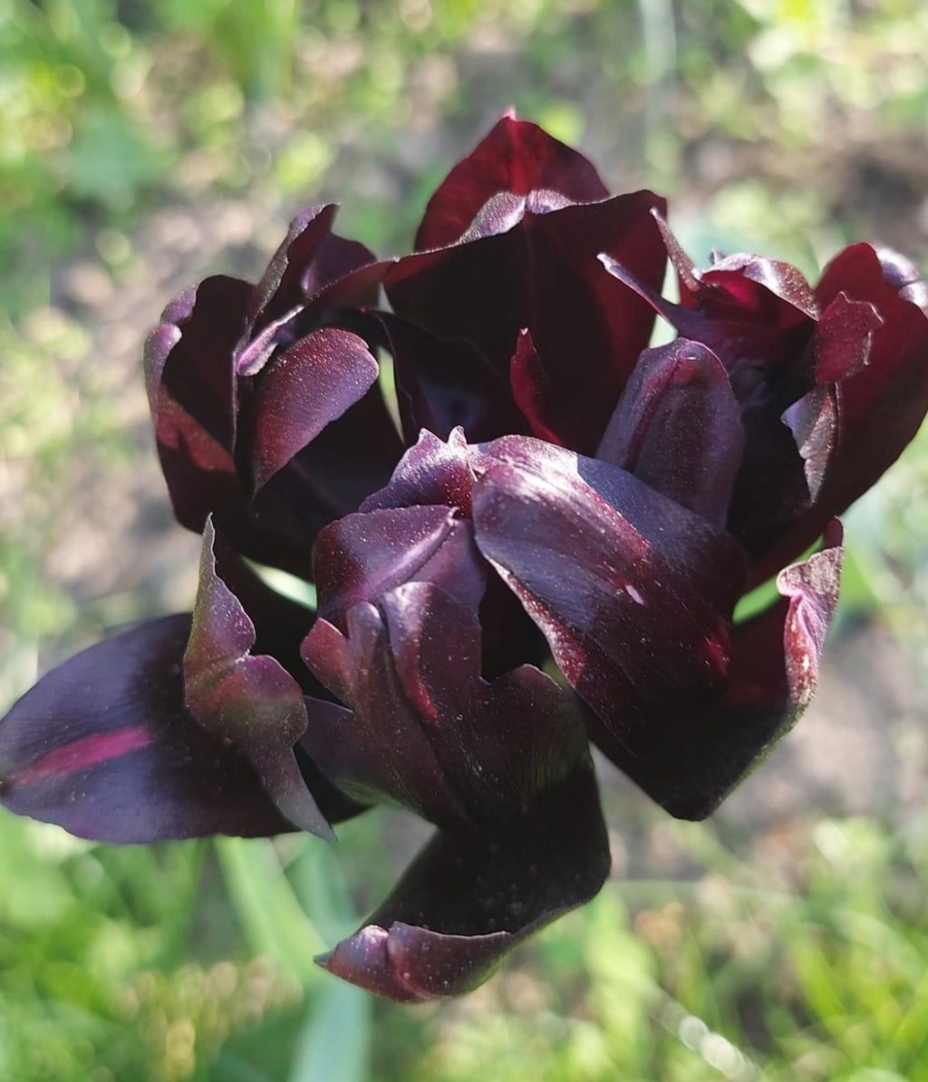 5/13/2024 — “What does it mean to be a mother in&nbsp;Ukraine?”