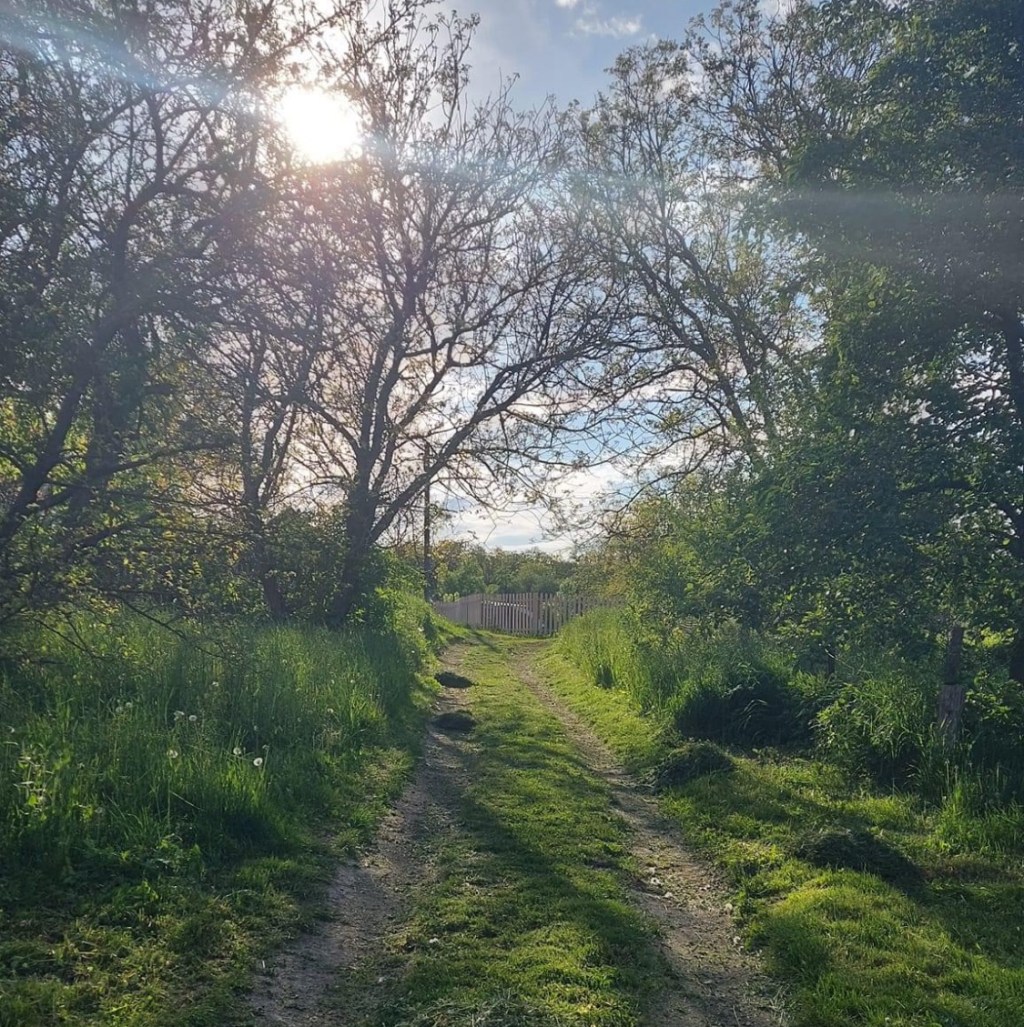 5/16/2024 – I keep reminding myself that everything is in the hands of the Lord, but it’s hard to command your heart to be still in this uncertainty…