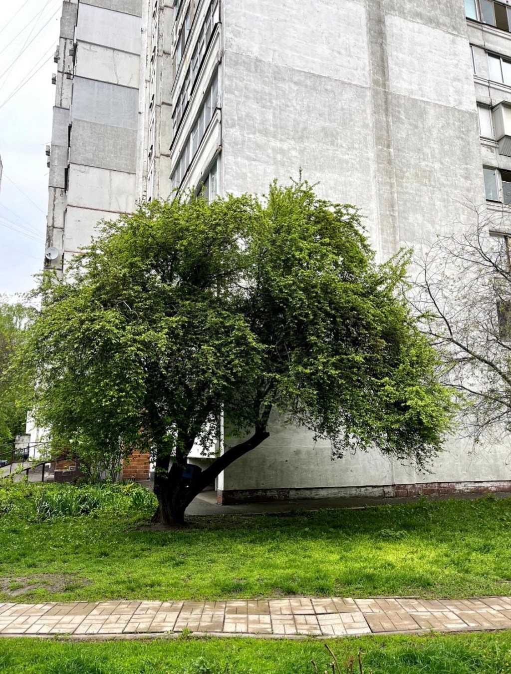 5/30:2024 — Lord, give us strength and show your&nbsp;mercy!