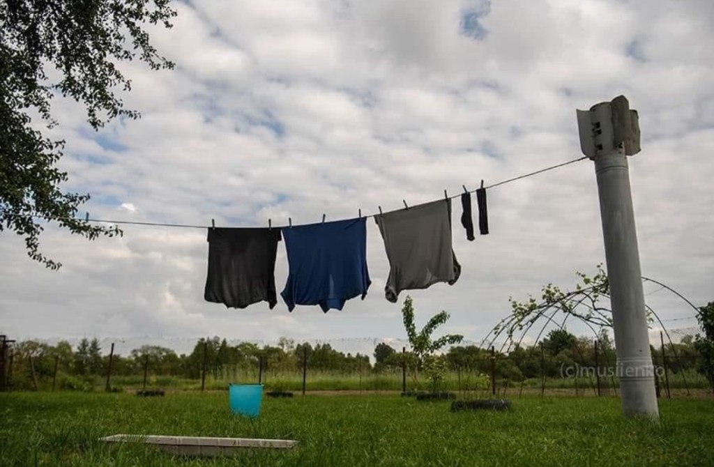 6/3/2024 — Restore us, O God; let your face shine, that we may be saved!