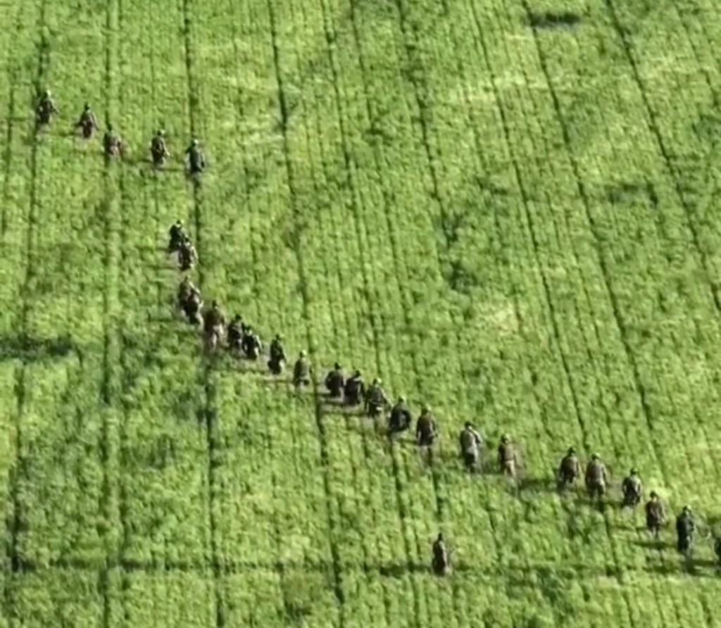 6/6/2024 — Here so in Ukraine now grow bread. The world must know at what price 🇺🇦&nbsp;(video)