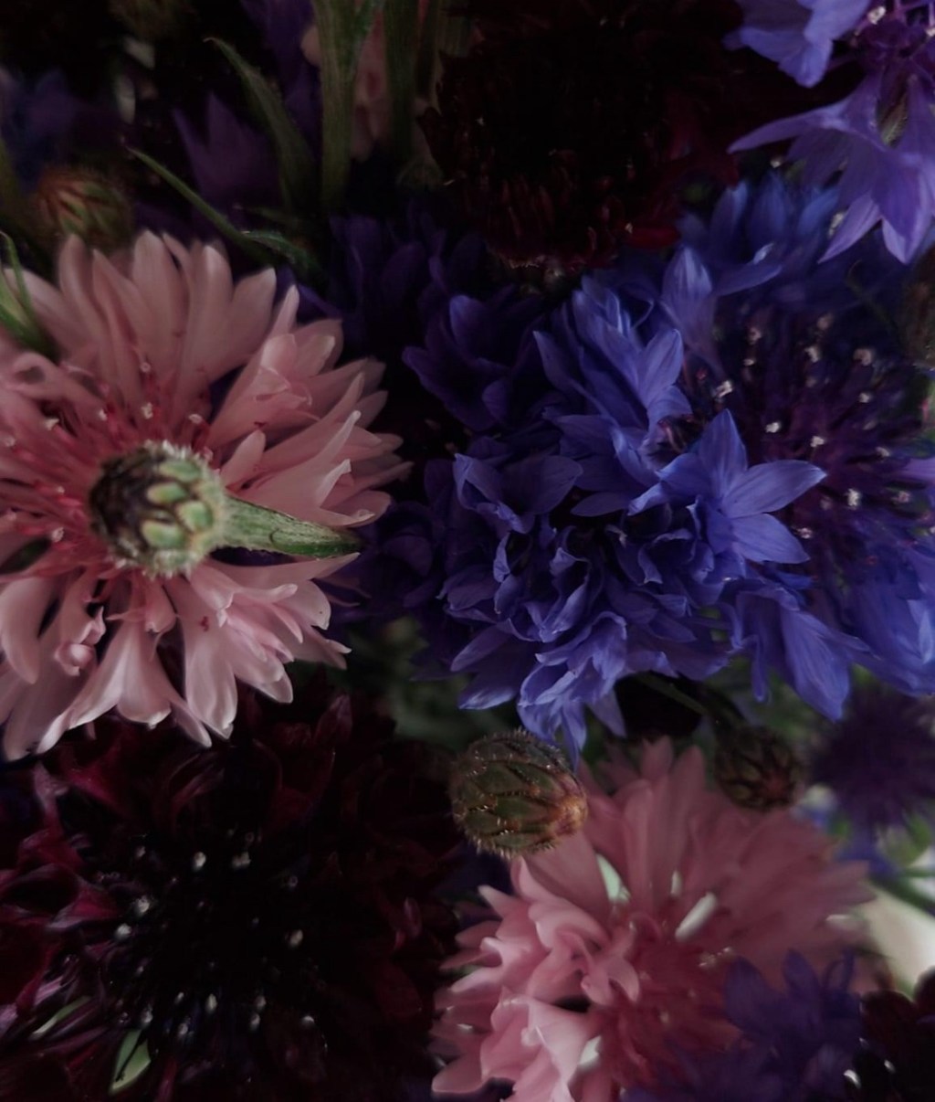 6/7/2024 — O Lord of hosts,blessed is the one who trusts in&nbsp;you!