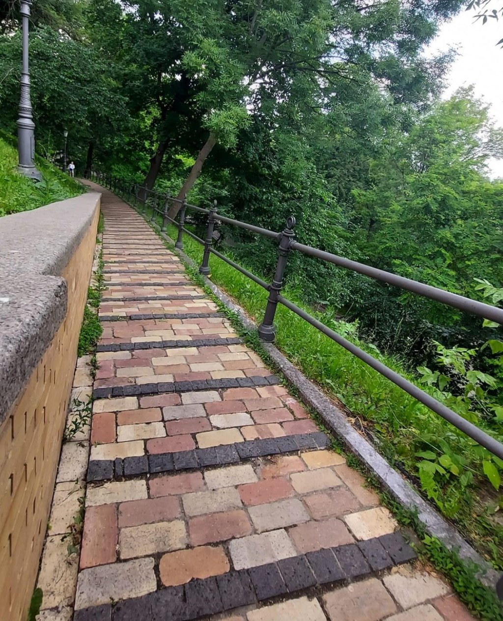 6/11/2024 — But I, O Lord, cry to you; in the morning my prayer comes before you.