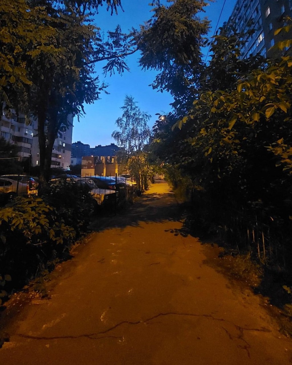 6/18/2024 — I had a lovely dream last&nbsp;night…