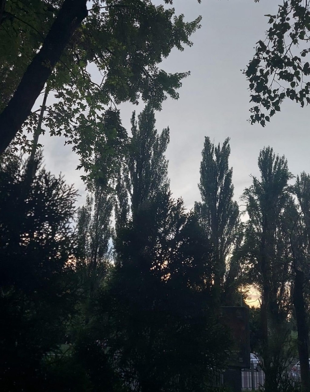 6/21/2024 — ‭The Lord has made known his salvation; he has revealed his righteousness in the sight of the&nbsp;nations.