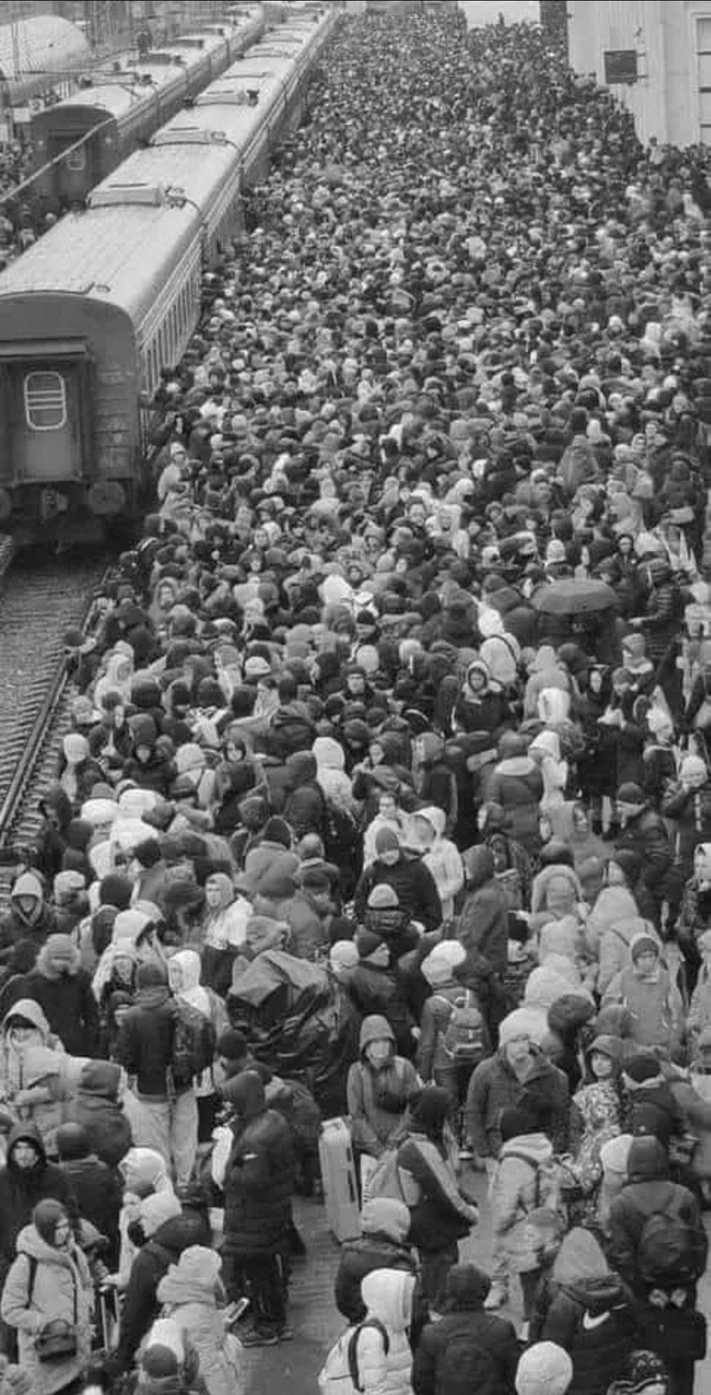 6/29/2014 — This is not 1941, this is March 2022,&nbsp;Kharkiv.