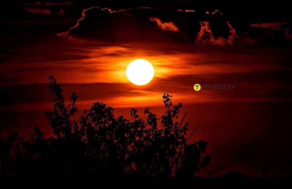 6/30/2024 — ‭Then they cried to the Lord in their trouble, and he delivered them from their&nbsp;distress.