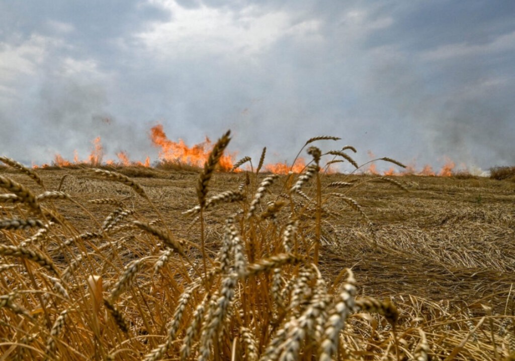 7/3/2024 — Bombing Europe’s breadbasket: Russia targets Ukrainian farmers