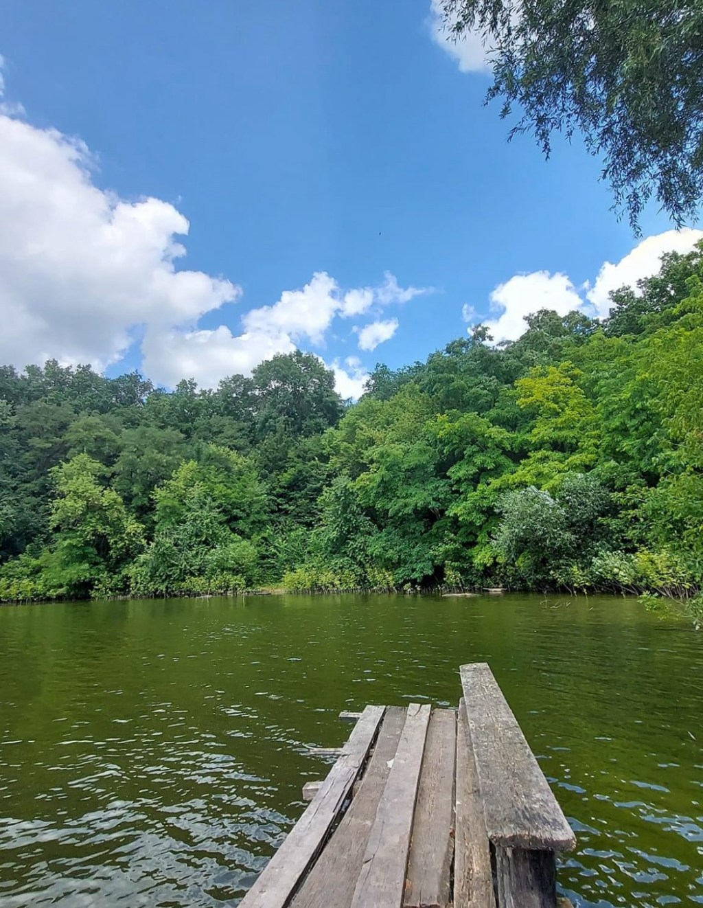 7/6/2024 — From the rising of the sun to its setting, the name of the Lord is to be praised!