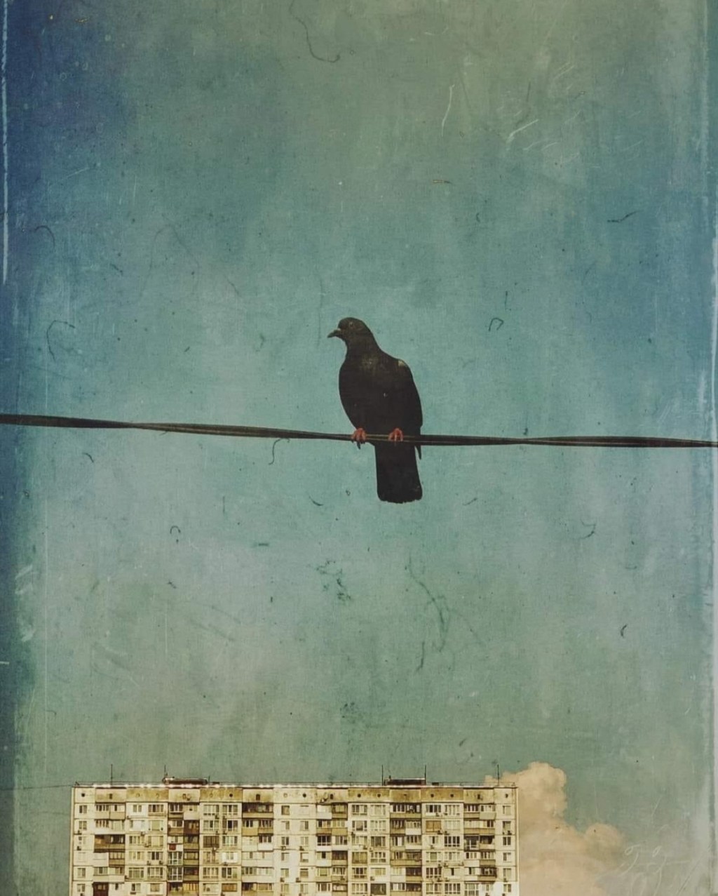 7/15/2924 — Sustainable peace and justice have been at the center of our prayers for more than ten years, and we trust the Lord in His mercy and grace will grant us these in His&nbsp;timing.