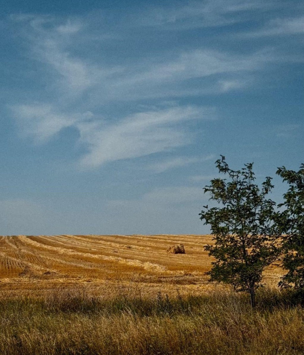 7/17/2024 — But let us remember that our lives could be miserable “if it had not been the Lord who was on our&nbsp;side.”