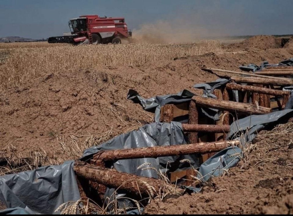 7/22/2024 — Let them be like the grass on the housetops, which withers before it grows up…