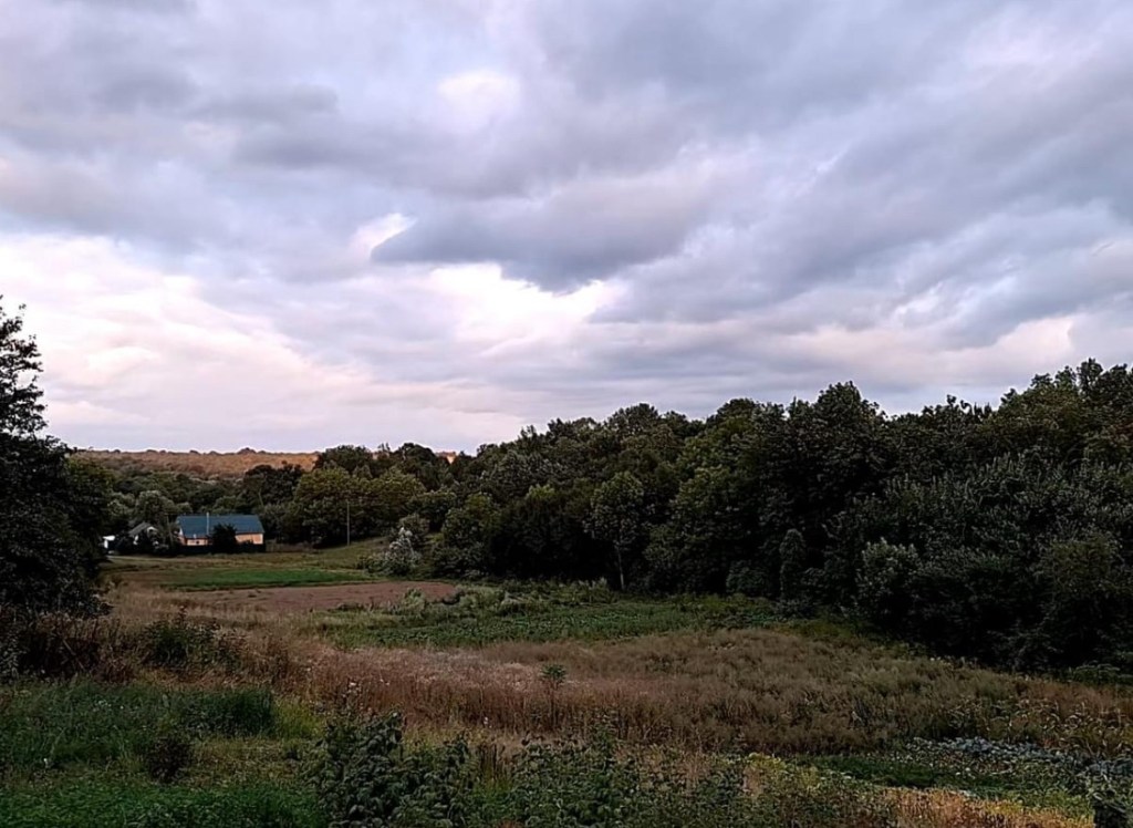 8/1/2024 — Oh that you would slay the wicked, O God!O men of blood, depart from&nbsp;me!