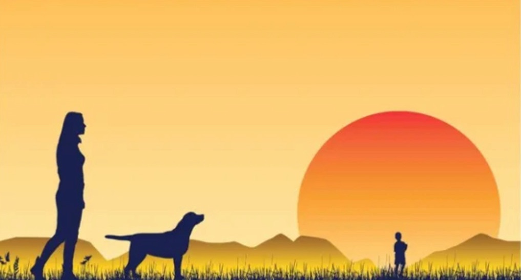 8/3/2024 — French writer Marc Levy dedicates his new book to Ukrainian children abduction, publishes it in&nbsp;Russian