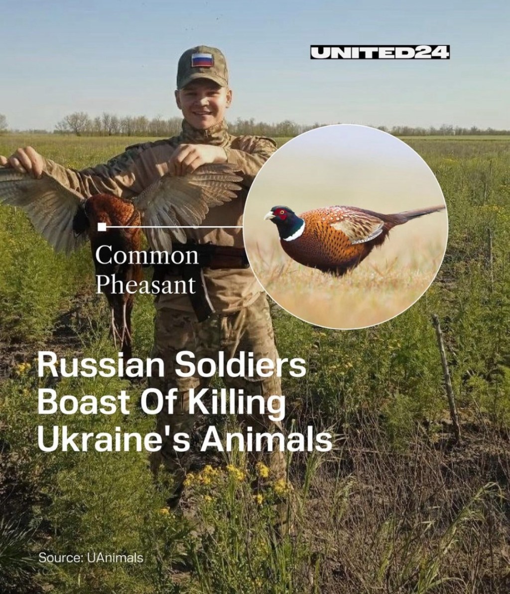 8/3/2024 — Russian soldiers boast of killing Ukraine’s Animals&nbsp;￼