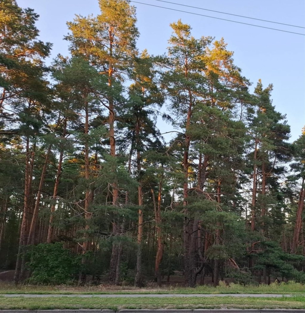 8/16/2024 — I saw life freeze today, yet thankfully, our hearts were not frozen…