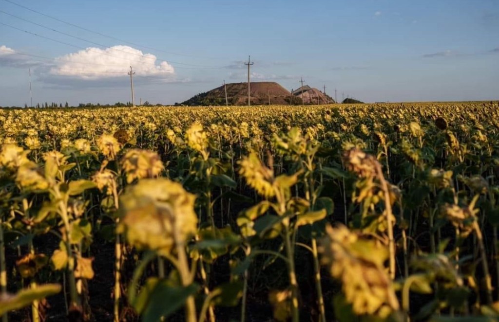 8/19/2024 — “Oh, let the evil of the wicked come to an end, and may you establish the righteous…”