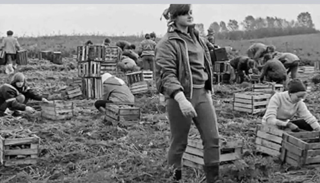 8/202024 — Yet, there are people who are still nostalgic for Soviet&nbsp;times…