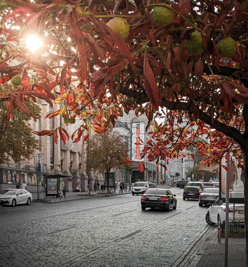 9/11/2024 — Today, I saw someone’s post about what our hypothetical future might look&nbsp;like…