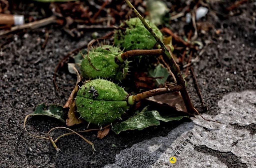 9/20/2024 — But for you, O Lord, do I wait; it is you, O Lord my God, who will&nbsp;answer.