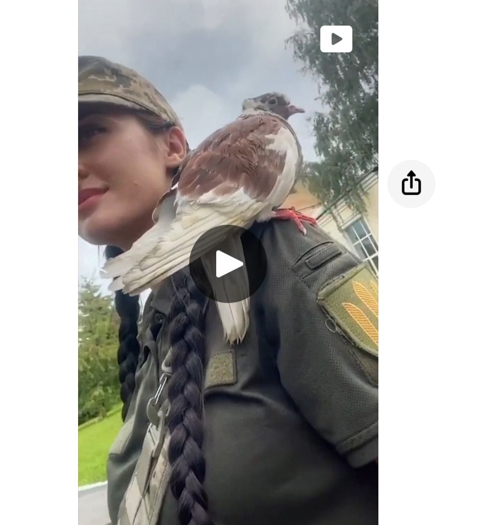 9/20/2024 — 😊 Happy Ukrainian Folk Music and Ukrainian Soldiers 🇺🇦&nbsp;(video)