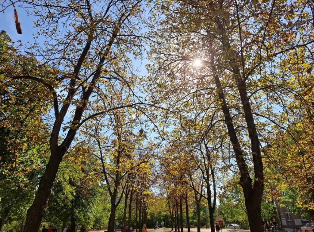 9/26/2024 — God is our refuge and strength, a very present help in trouble.