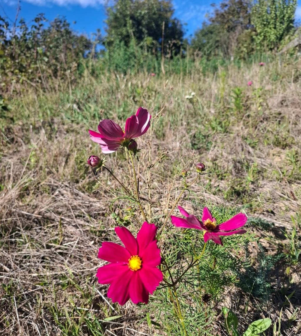 9/29/2024 — I remind myself about God’s sovereignty – when things don’t make sense to me, He is still in full&nbsp;control.