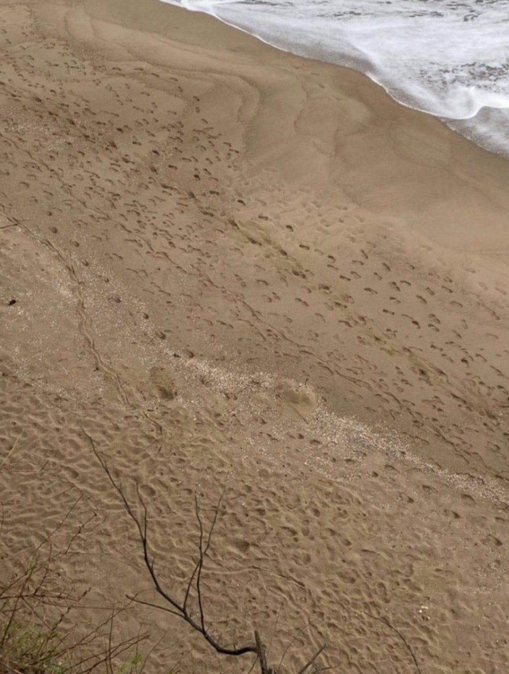 10/7/2024 — I shall not be afraid. What can man do to&nbsp;me?