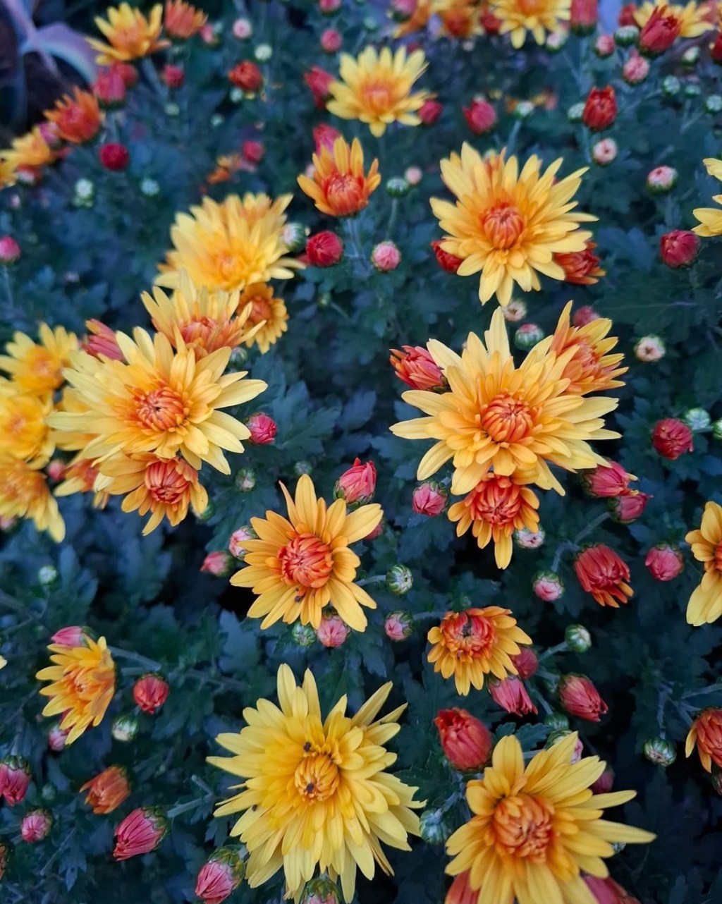 10/21/2024 — Let them be put to shame and confusion who seek my&nbsp;life!