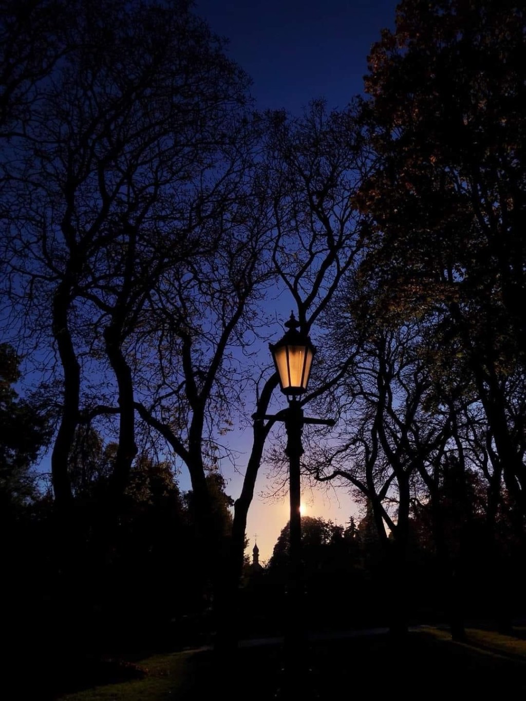 10/23/2024 — “Be to me a rock of refuge, to which I may continually&nbsp;come…”