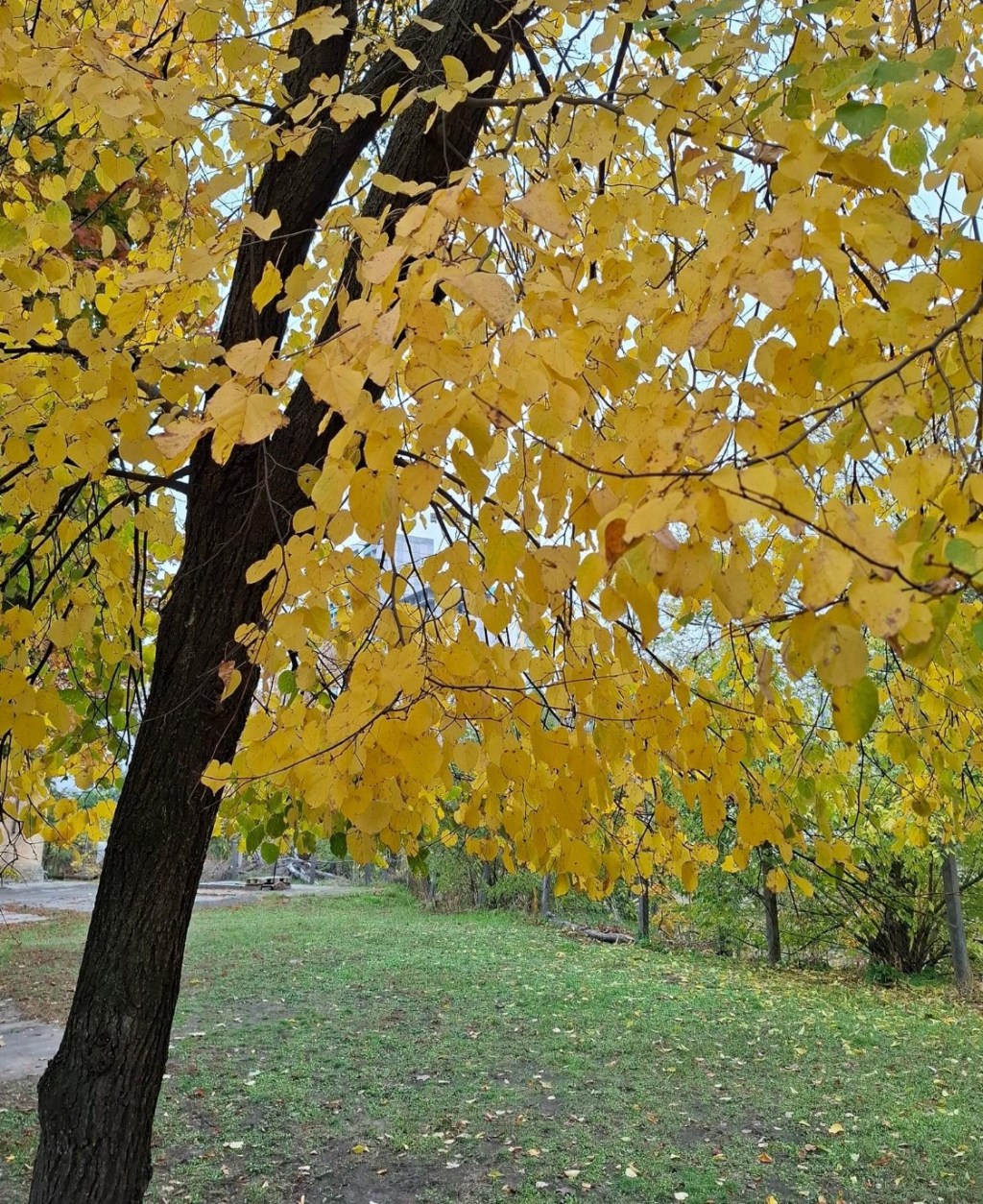 10/31/2024 — “It feels so wrong to feel so safe when there’s so much destruction&nbsp;around…”