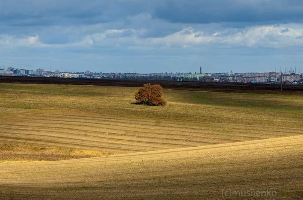 11/2/2024 — Give justice to the weak and the fatherless; maintain the right of the afflicted and the destitute.