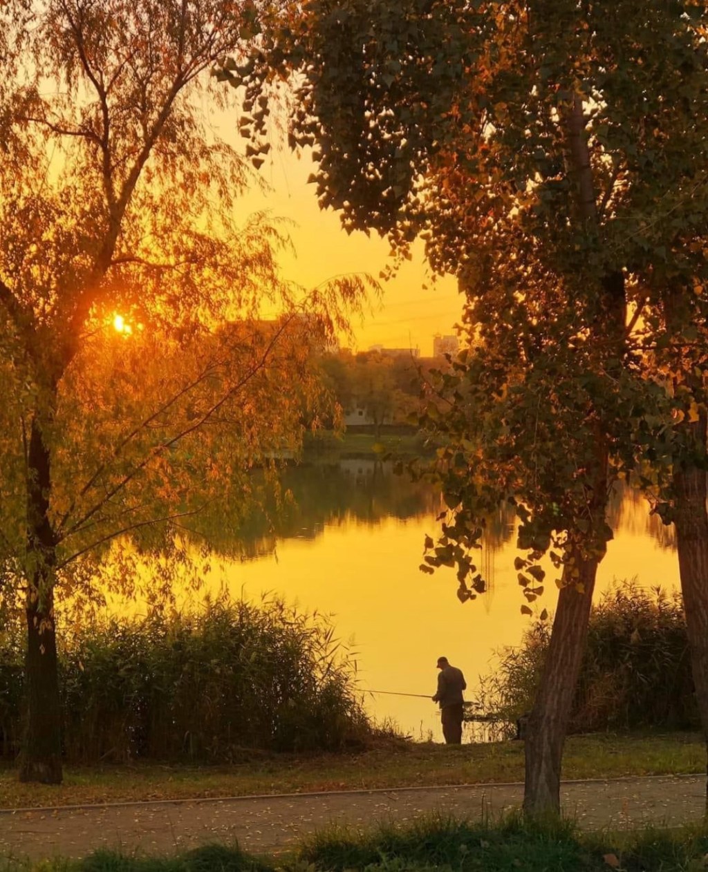 11/3/2024 — Fill their faces with shame, that they may seek your name, O Lord.