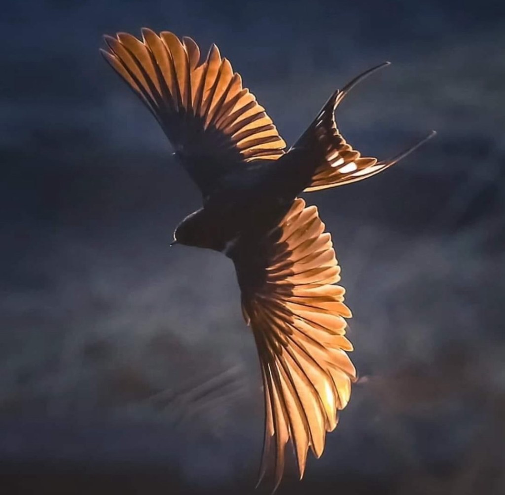 11/6/2024 — Our security is in Him alone. Lord, help us to remember&nbsp;this.