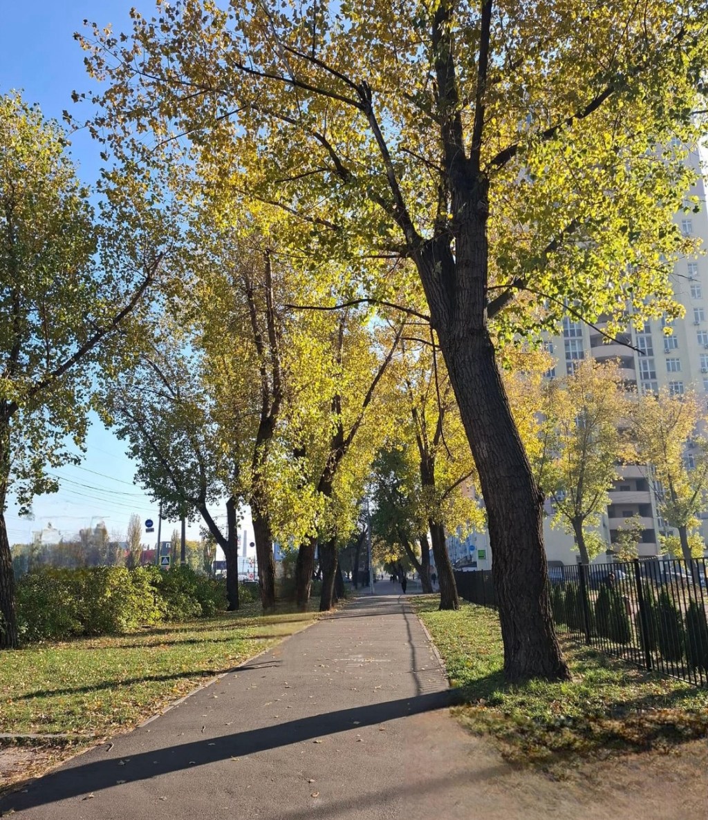 11/9/2024 — Meeting a US veteran United States Marine Corps Scout Sniper who felt the need to stay true to his values when Ukraine was brutally attacked and thousands of civilians were suffering from Russian terrorism.