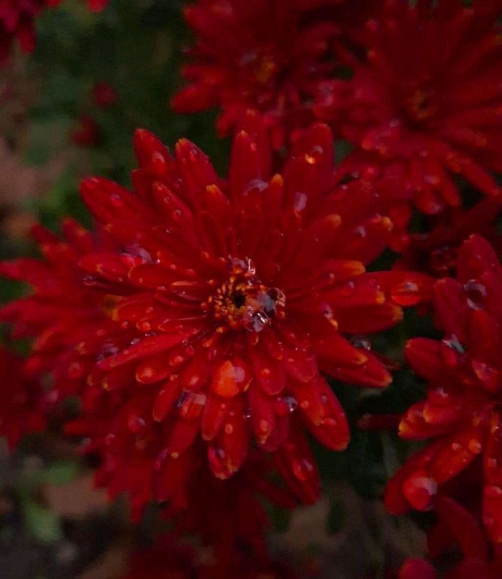 11/16/2024 — I was talking to God, wondering why He’s been so slow to answer our prayers. Are 1,000 days not&nbsp;enough?