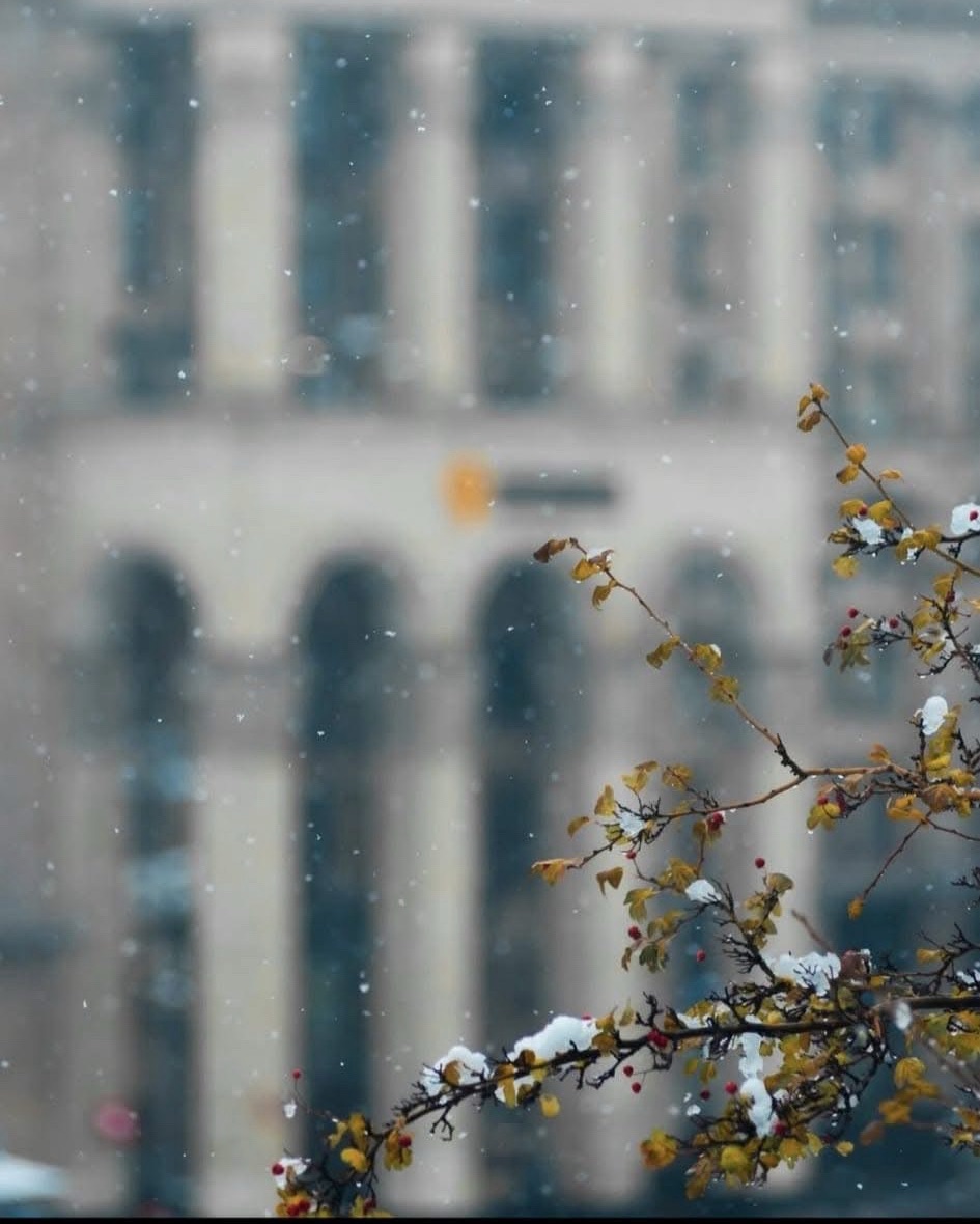 12/9/2024 — Ukraine is paying a great price, buying the world time, while many Western countries go through denial and bargaining, refusing to accept that WWIII is already in&nbsp;progress.