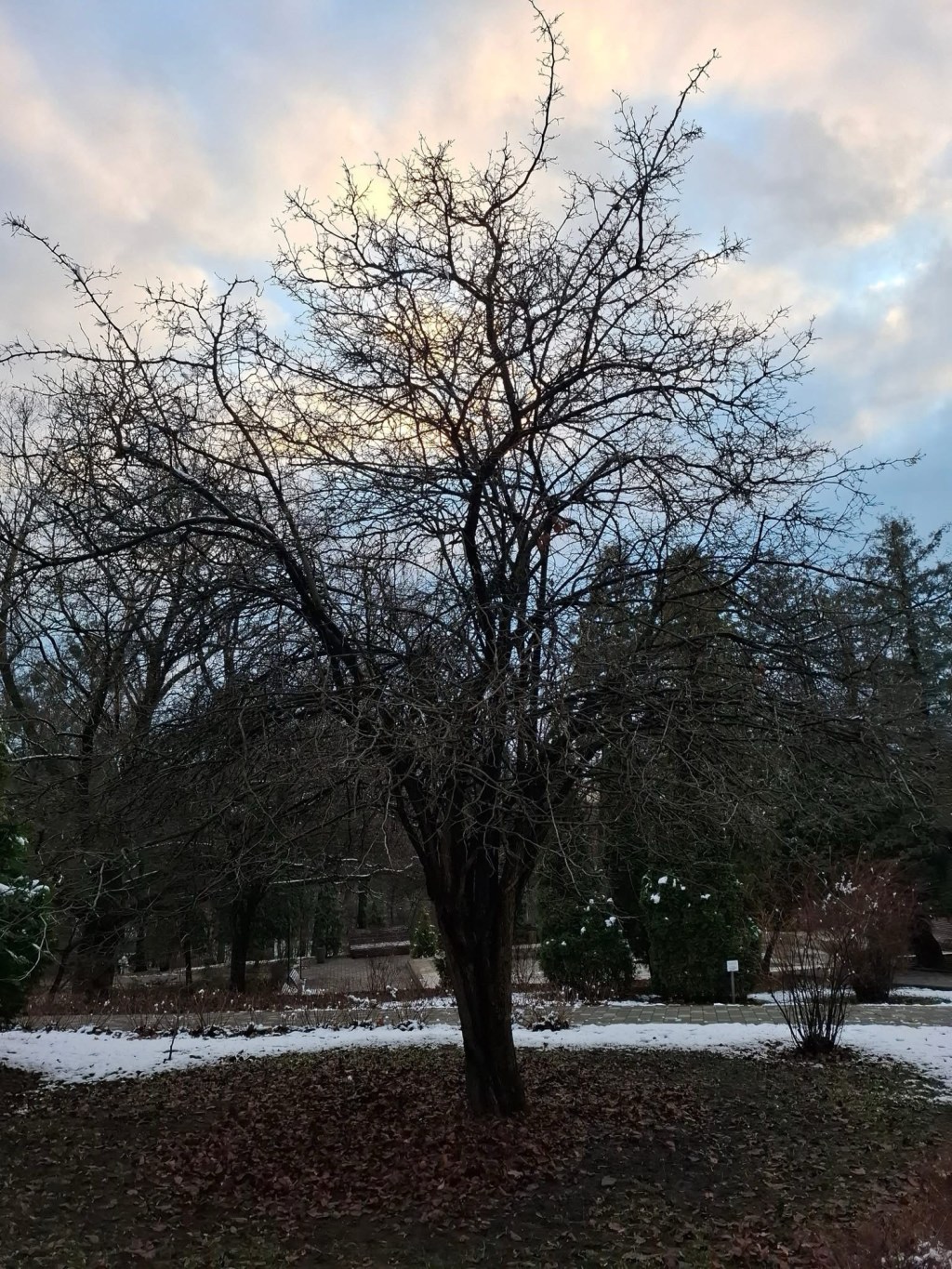 1/17/2025 — “Out of the mouth of babies and infants…”