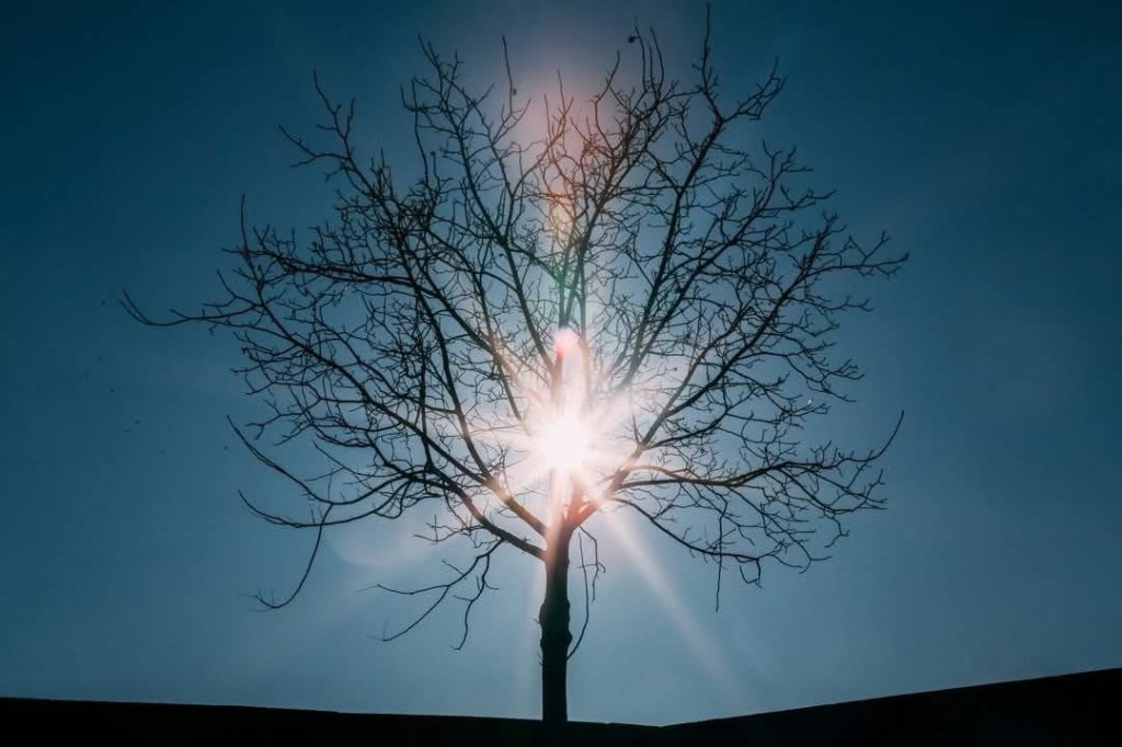 1/22/2025 — “Consider and answer me, O Lord my God; light up my eyes, lest I sleep the sleep of&nbsp;death…”