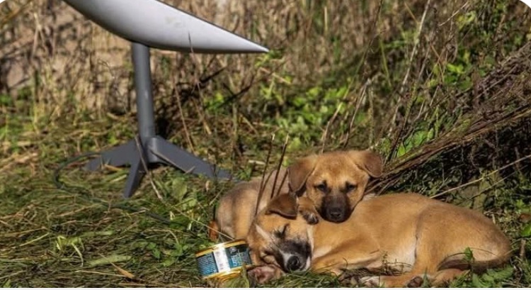 2/4/2025 — No viable alternative to Starlink for now — Ukrainian drone forces&nbsp;commander