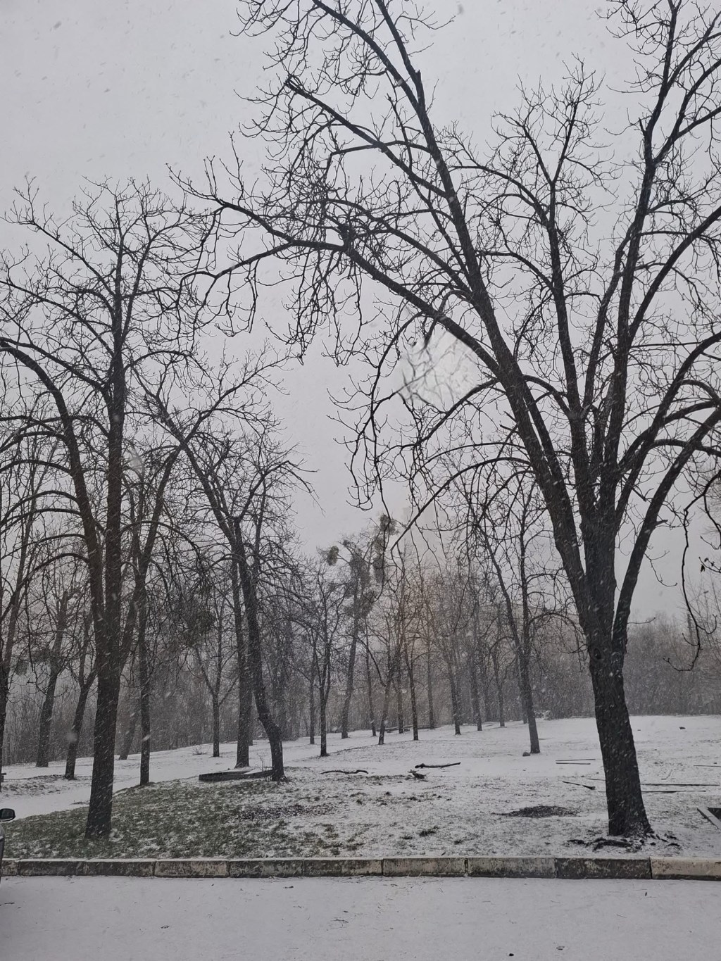 2/6/2025 — The Lord is my strength and my shield; in him my heart trusts, and I am&nbsp;helped…