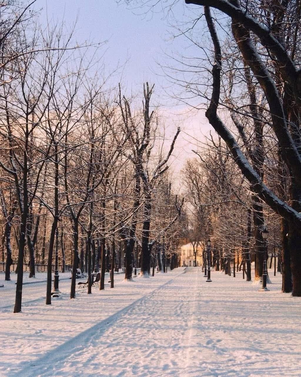 2/19/2025 — I cannot read the news because it makes me&nbsp;sick…