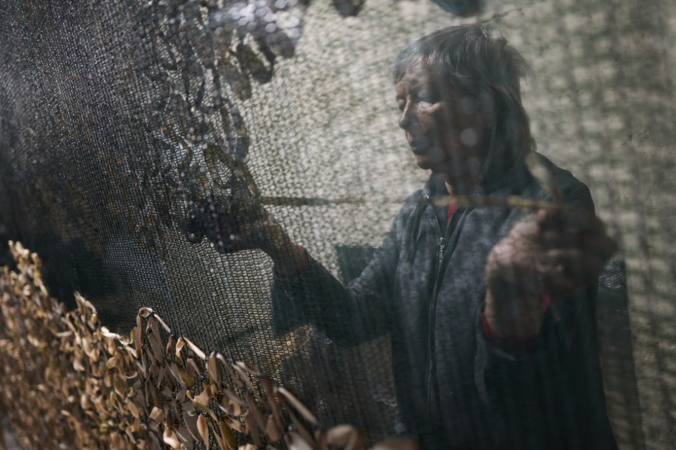 The Kremlin’s Gambit: Putin Rejects Compromise While Courting Trump’s&nbsp;America